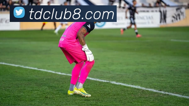 腾达娱乐官网APP 体育赛事宣传图